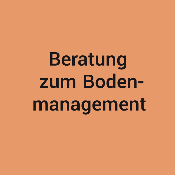 Orange Kachel mit der Aufschrift Beratung zum Bodenmanagement, zugehörig zum Leistungsspektrum von KNAPPMANN ONE.