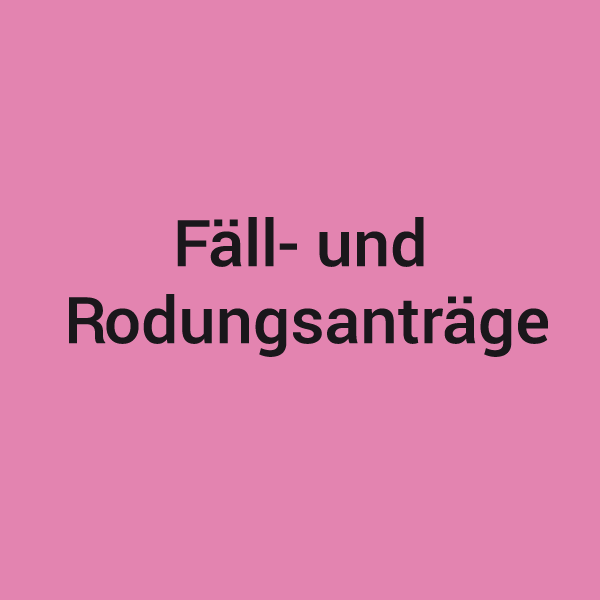 Pinke Kachel mit der Aufschrift Fäll und Rodungsanträge, zugehörig zum Leistungsspektrum von KNAPPMANN ONE.